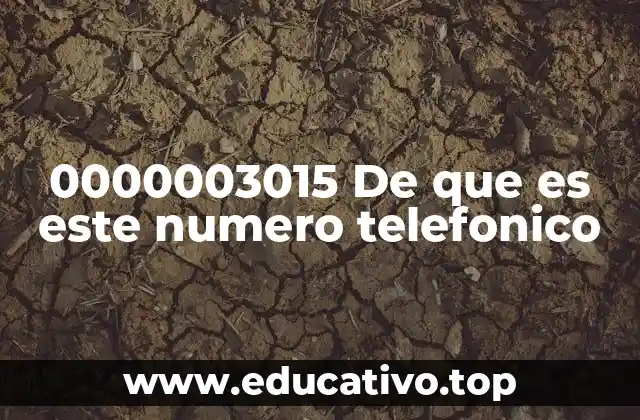 0000003015 De que es este numero telefonico