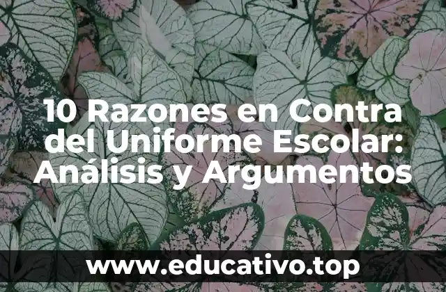 10 Razones en Contra del Uniforme Escolar: Análisis y Argumentos