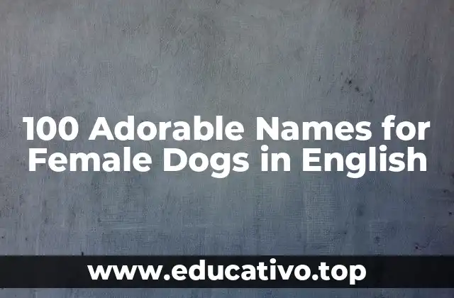 100 Adorable Names for Female Dogs in English