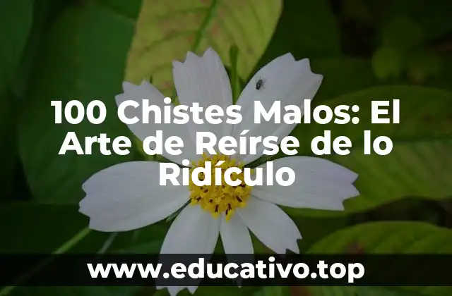 100 Chistes Malos: El Arte de Reírse de lo Ridículo