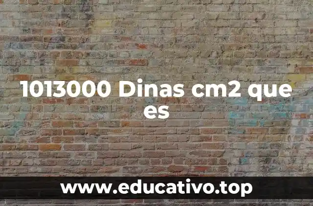 1013000 Dinas cm2 que es