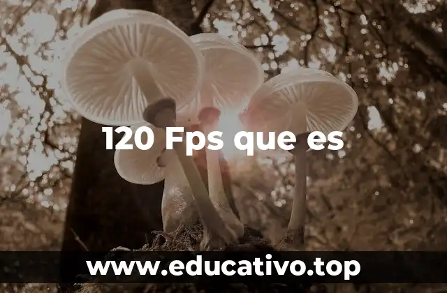 120 Fps que es