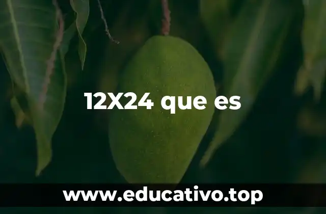 12X24 que es