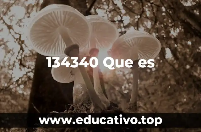 134340 Que es