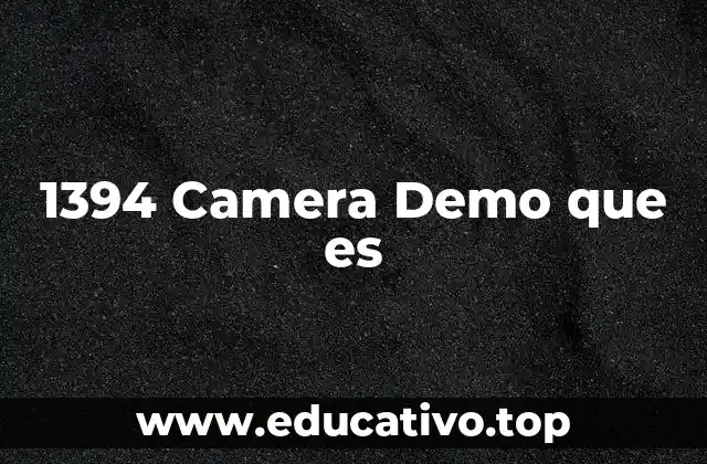 1394 Camera Demo que es