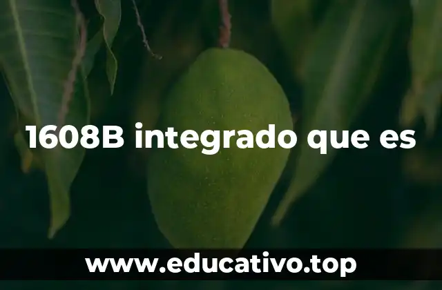 1608B integrado que es
