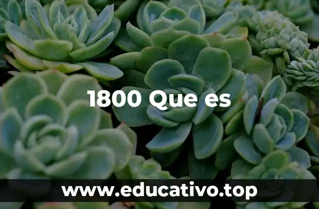 1800 Que es