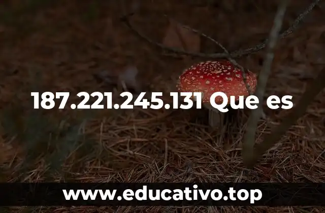 187.221.245.131 Que es