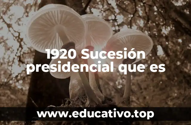 1920 Sucesión presidencial que es