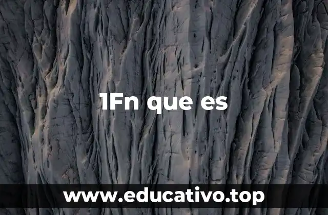 1Fn que es