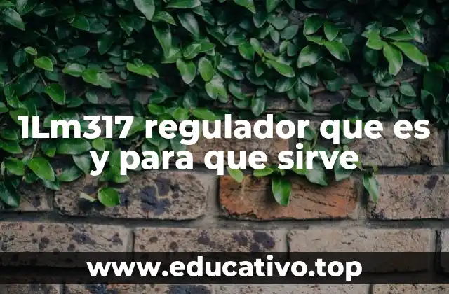 1Lm317 regulador que es y para que sirve