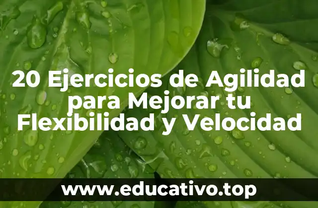20 Ejercicios de Agilidad para Mejorar tu Flexibilidad y Velocidad