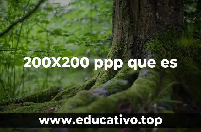 200X200 ppp que es