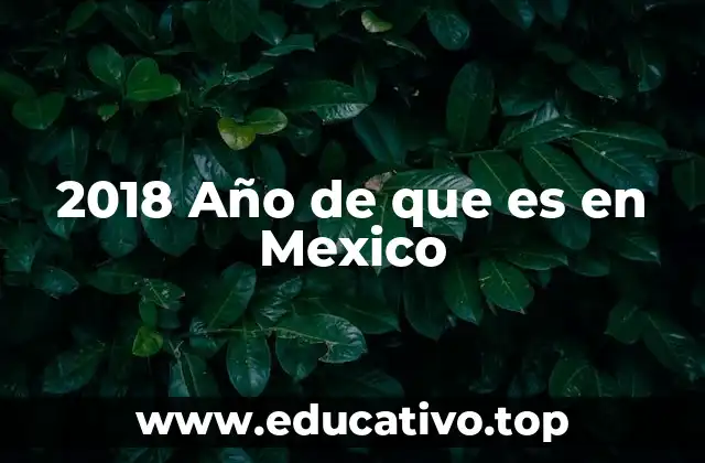 2018 Año de que es en Mexico