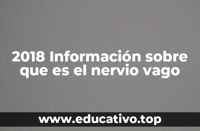 2018 Información sobre que es el nervio vago