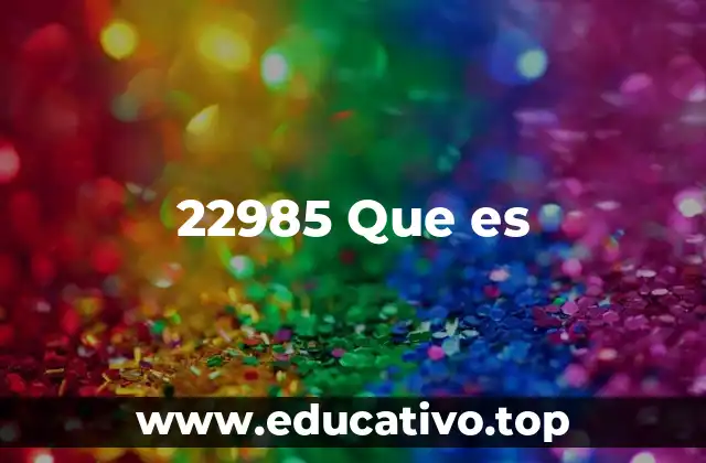 22985 Que es