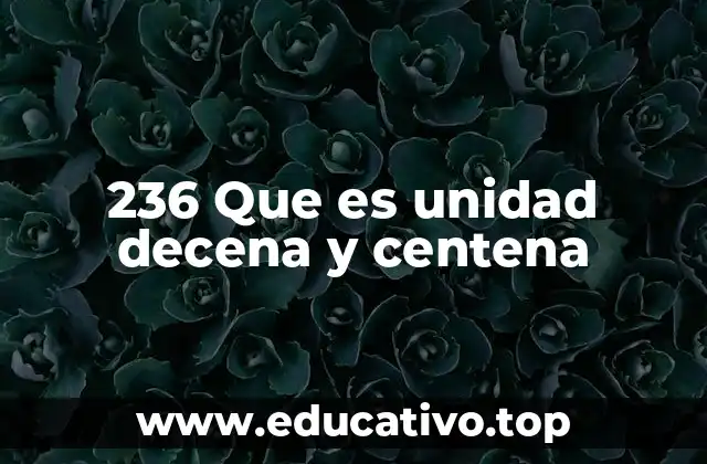 236 Que es unidad decena y centena