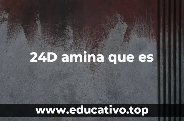 24D amina que es