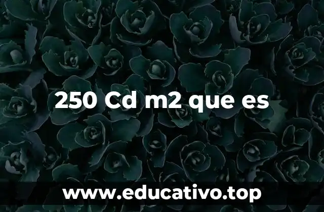 La importancia de la luminancia en espacios interiores