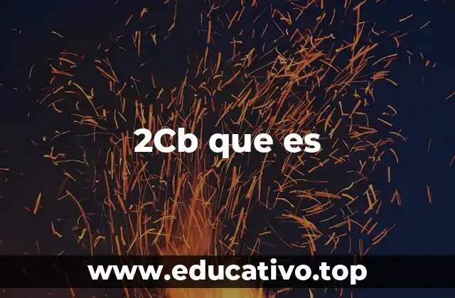 2Cb que es