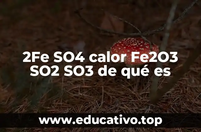 2Fe SO4 calor Fe2O3 SO2 SO3 de qué es