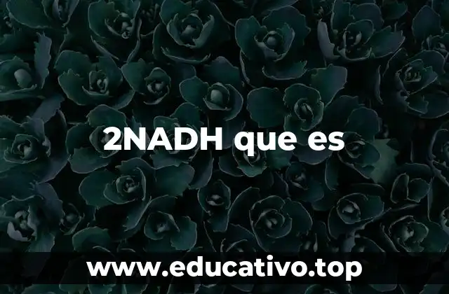2NADH que es