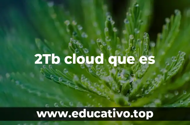 2Tb cloud que es