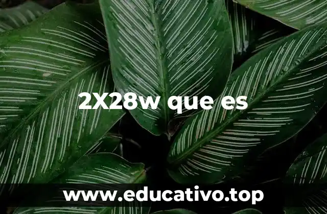 2X28w que es