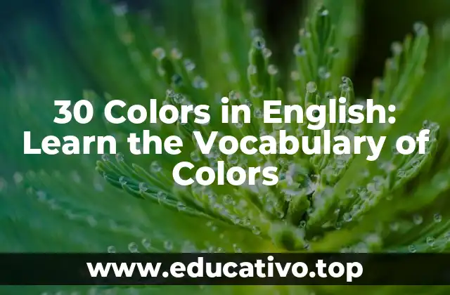 30 Colors in English: Learn the Vocabulary of Colors