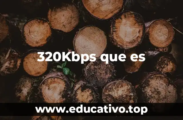 320Kbps que es