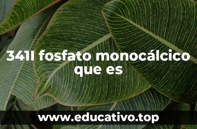 341I fosfato monocálcico que es