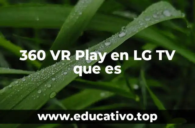 360 VR Play en LG TV que es