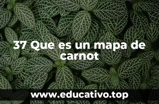 37 Que es un mapa de carnot
