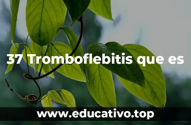 37 Tromboflebitis que es