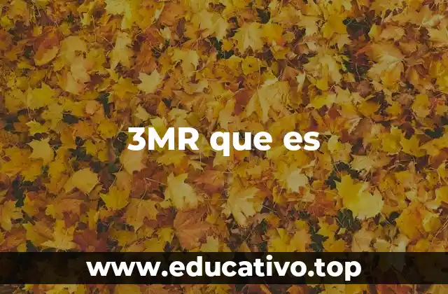 3MR que es