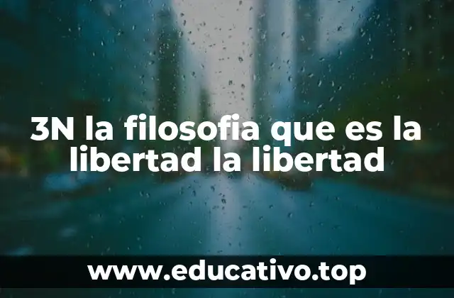 3N la filosofia que es la libertad la libertad