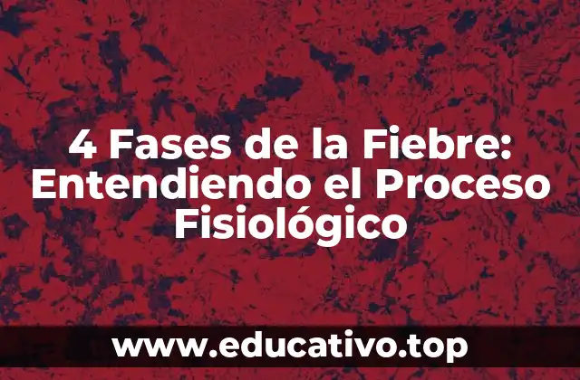 4 Fases de la Fiebre: Entendiendo el Proceso Fisiológico