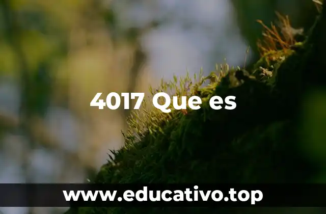 4017 Que es