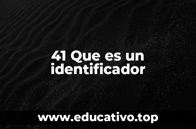 41 Que es un identificador