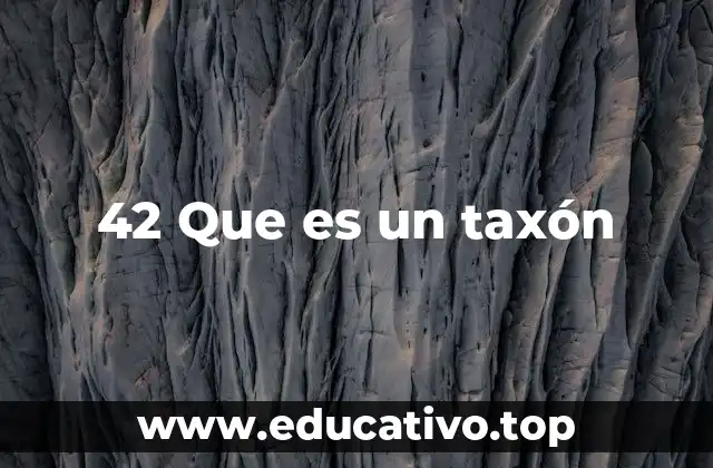 42 Que es un taxón