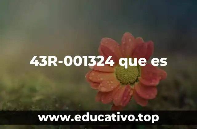 43R-001324 que es