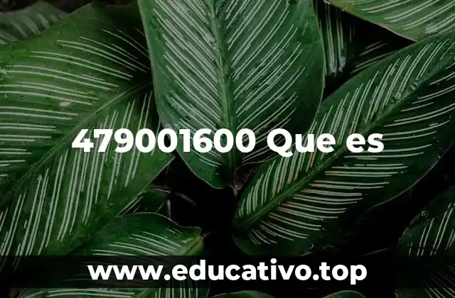 479001600 Que es