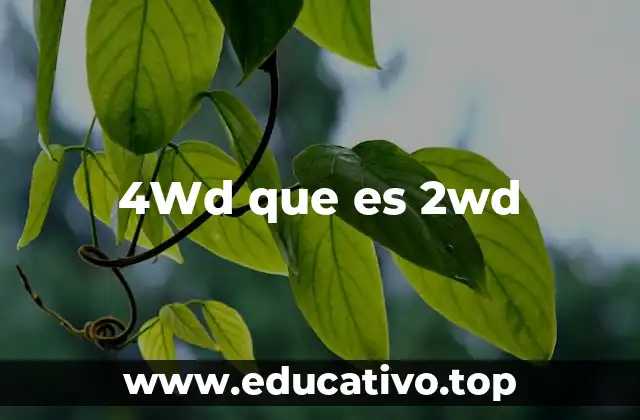 4Wd que es 2wd