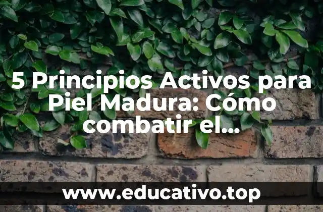 5 Principios Activos para Piel Madura: Cómo combatir el envejecimiento