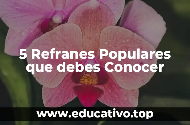 5 Refranes Populares que debes Conocer