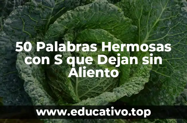 50 Palabras Hermosas con S que Dejan sin Aliento