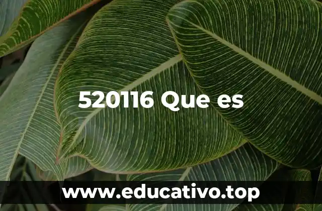 520116 Que es