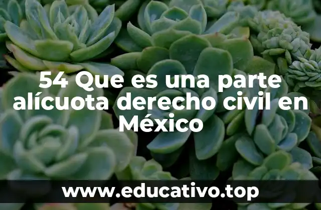 La importancia de la parte alícuota en el régimen de propiedad en edificios