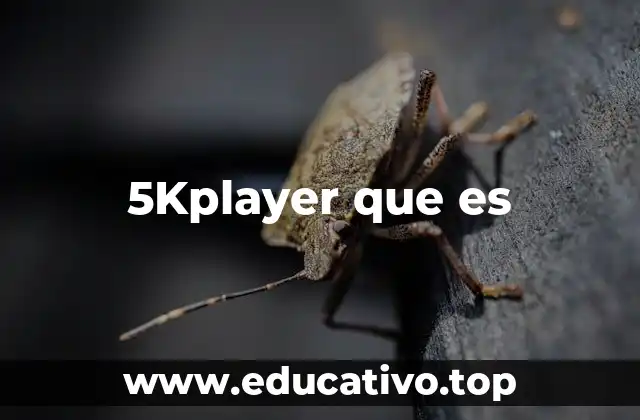 El 5kplayer y su papel en la experiencia multimedia