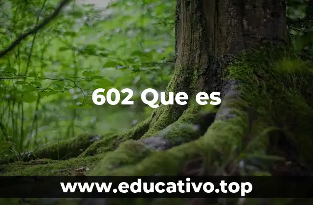 602 Que es